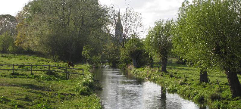 Watermeadow